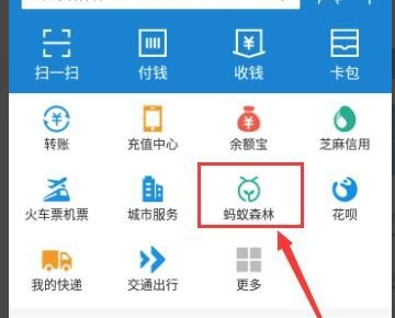 蚂蚁森林 线下支付后马上就有收取倒计时吗-第1张-交通-答答问