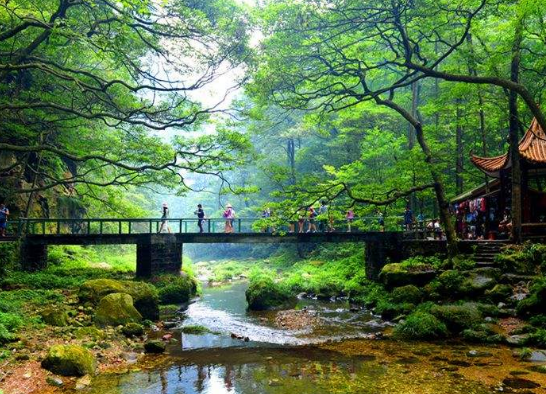 张家界旅游跟团和自由行请导游，哪个更合适-第3张-旅游-答答问