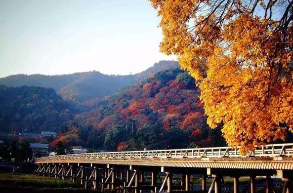 日本留学生常去哪些旅游景点-第4张-旅游-答答问