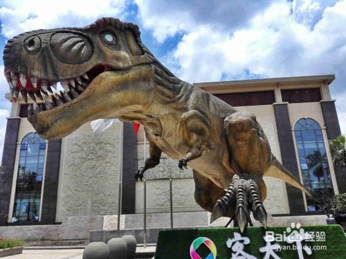 求河源客天下一天游攻略？-第6张-旅游-答答问